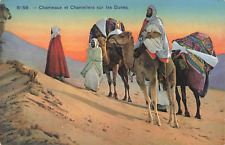 Chameaux chameliers dunes d'occasion  Vasles