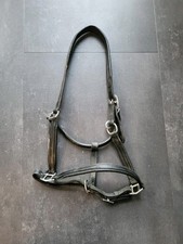 Lederhalfter halfter leder gebraucht kaufen  Elsdorf