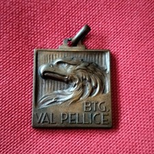 Alpini battaglione val usato  Treviso