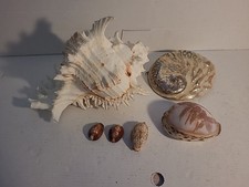 Vintage shells job for sale  SHREWSBURY
