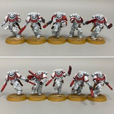 ASSAULT INTERCESSOR SQUAD WARHAMMER 40.000 SPACE MARINES CICATRIZES BRANCAS PRIMARIS comprar usado  Enviando para Brazil