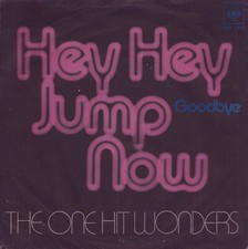 Hit wonders hey gebraucht kaufen  Stuttgart