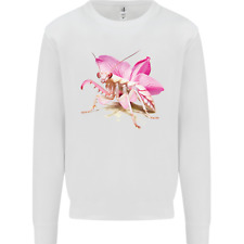 Orchid mantis kids for sale  COVENTRY