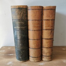 Traité anatomie humaine d'occasion  Boussac
