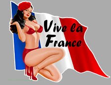 Pin drapeau 12cm d'occasion  Le Val