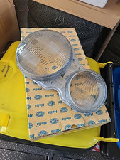 Coppia vetro fanale usato  Rovigo
