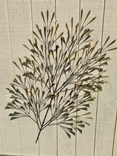 Rare curtis jere for sale  South Bend