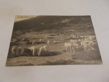 Pyrenees orientales cerdagne d'occasion  Vittel