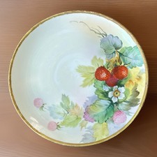 Hand painted nippon for sale  Hatfield
