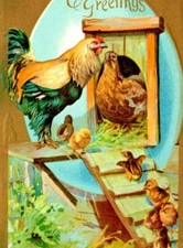 Easter roster hen for sale  Denver