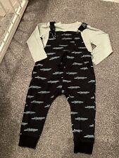 Boys next crocodile for sale  SELBY