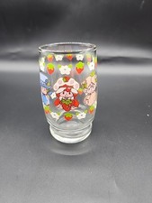 1981 strawberry shortcake for sale  Princeton
