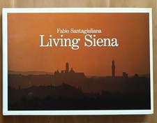 Living siena santagiuliana usato  Italia