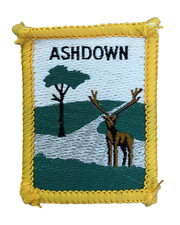 Distintivo de escoteiro do Reino Unido. Ashdown District comprar usado  Enviando para Brazil