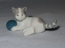 Kitten teal blue for sale  Delaware
