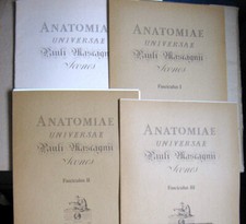 Pauli mascagni anatomiae usato  Solza