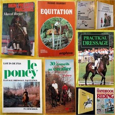 Cheval equitation dressage d'occasion Cheval equitation dressage d'occasion  Avignon