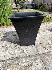 Rammento 31.5cm tall for sale  HITCHIN