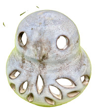 Lampe veilleuse chouette d'occasion  Saint-Aubin-du-Cormier