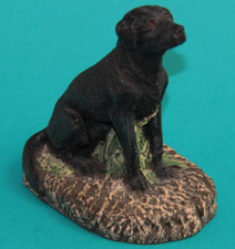 Black labrador retriever for sale  Carbondale