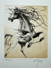Cheval cabre jean d'occasion  Pluvigner