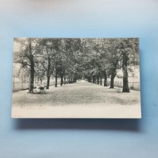 Beccles postcard c1903 for sale  TELFORD