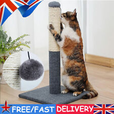 Tall large cat for sale  UK
