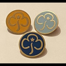 Girl guiding badges for sale  DUNFERMLINE
