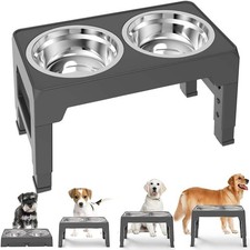 Elevated raised dog for sale  Corona