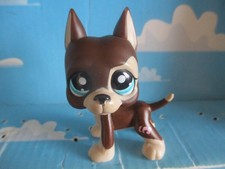 Petshop argentine dog d'occasion  Expédié en Belgium