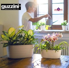 Guzzini portavaso grande usato  Trapani
