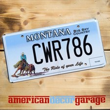 Usa nummernschild kennzeichen gebraucht kaufen  Offenburg