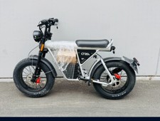 Coswheel 20s electric for sale  Woodland Hills