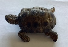 Schleich schildkröte 14404 gebraucht kaufen  Neu Wulmstorf