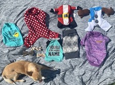 Small dog clothing for sale  Umatilla