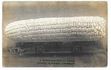 Usado, Cartão postal foto RPPC orelha de mamute exagerada Homer Illinois comprar usado  Enviando para Brazil