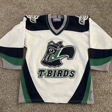 Vintage seattle thunderbirds for sale  Meridian