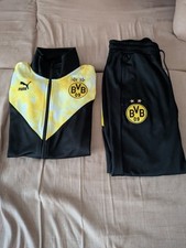 Bvb borussia dortmund gebraucht kaufen  Heuchelheim