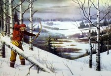 Bow hunter deer for sale  Annandale