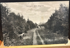 Vintage postcard skegness for sale  NEWTON ABBOT