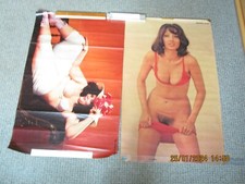 Große sexy poster gebraucht kaufen  Nürnberg