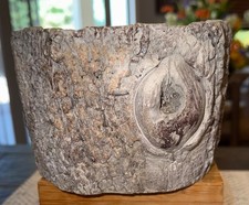 Cement simulated stump for sale  Prescott Valley