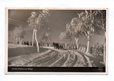 Foto weiße pracht gebraucht kaufen  Neugersdorf