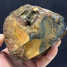 2lb blue mountain for sale  Spokane