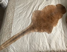 kangaroo skin for sale kangaroo skin for sale TELFORD