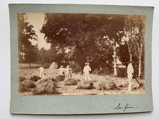 Photo albumine travail d'occasion  Nantes-