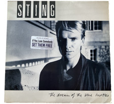 Sting the dream usato  Verona