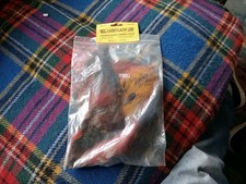 Golden pheasant whole for sale Golden pheasant whole for sale  NEATH