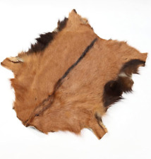 Real antelope rug for sale  UK