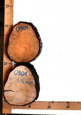 Baumscheiben nuss kirsch gebraucht kaufen  Waldkirchen